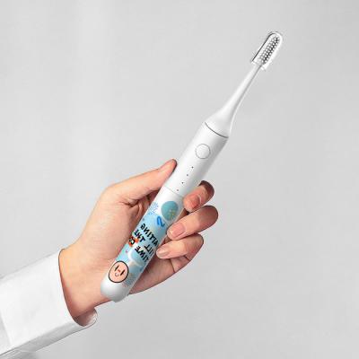 China Rechargeable Oral CareTeeth Whitening Sonic Electric Toothbrush Ultrasonic Toothbrush for sale