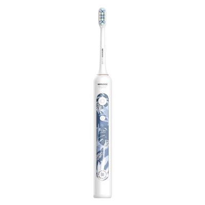 China SONIC Electric Toothbrush Adult Waterproof Toothbrush Head Electric Toothbrush for sale