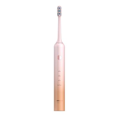 China Adult Electric Toothbrush Waterproof USB Charging Rechargeable IPX7 Powerful With Carrying Case for sale