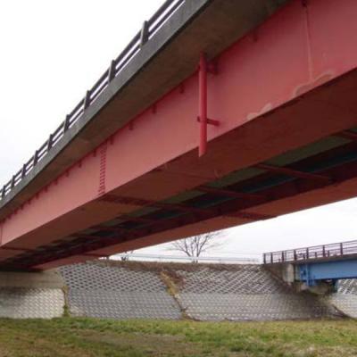 China Ferrocarril de acero prefabricado del puente de la viga de chapa en venta resistente en venta
