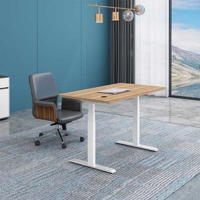 China 25mm Office Height Adjustable Desk Wooden Electric Standing Desk for sale