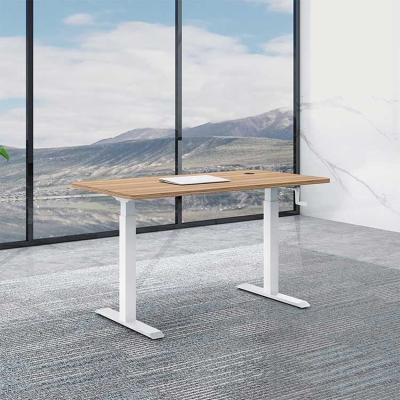 China 1.6M Electric Sit Stand Desk Ergonomic Lifting Standing Table for sale