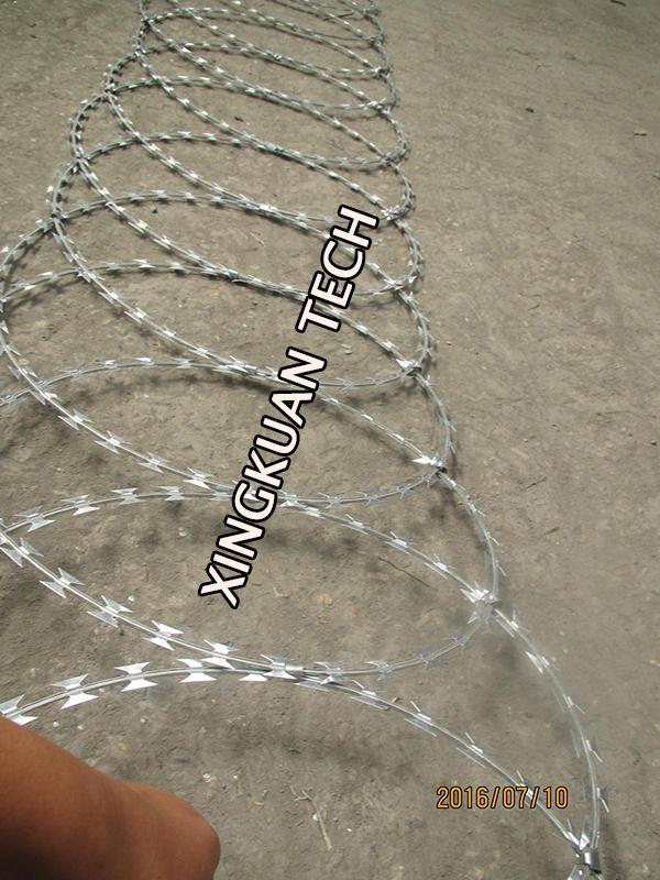 BTO-22 Razor Barbed Wire Hot Dipped Galvanized 600mm 900mm Coil diameter in panel 10