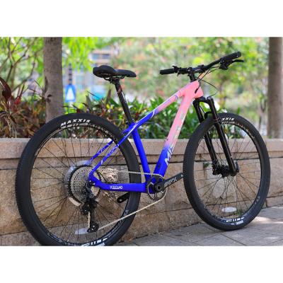 China Bicicleta de montaña de descenso de 12 velocidades con Sunshine 11-50T Cassette y tenedor de aleación de aluminio en venta