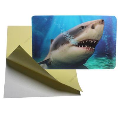 China PLASTIC LENTICULAR customized 3D PET sticker flip 3d lenticular sticker-3d motion sticker lenticular printing factory for sale