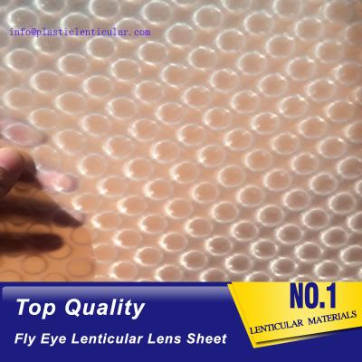 China PLASTIC LENTICULAR latest flying 3d lenses fly-eye plastic sheet film with 3d 360 degree for sale