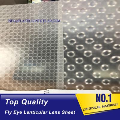 China PLASTIC LENTICULAR fly eye lens microlens film sheet 3d plastic lenticular lens material for 3d lenticular printing for sale