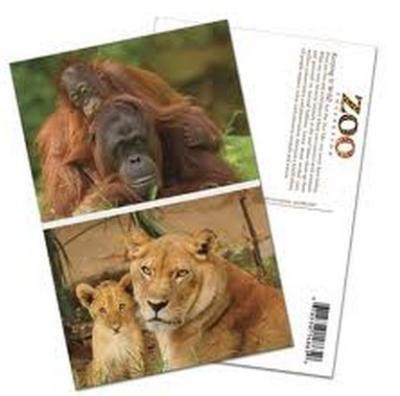 China PLASTIC LENTICULAR cheap price 3D postcards 3D animal post cards with lenticular sheet material for sale