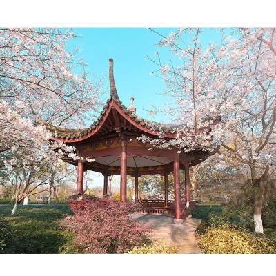 China Custom Chinese Garden Antique Design Solid Leisure Pavilion WaterProof for sale