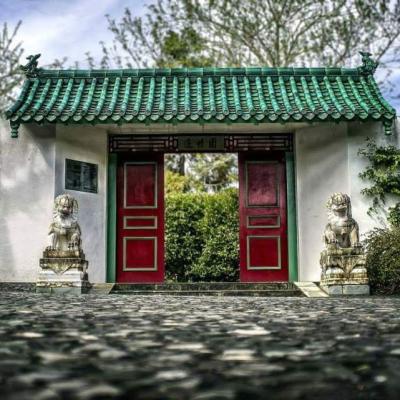 China Tejas de tejado chinas del restaurante de las viejas puertas chinas en venta