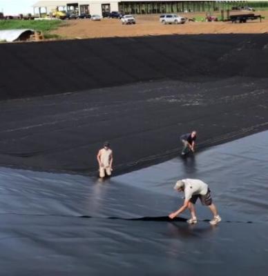China Reservoir Engineering Plastik Geomembrane Geosynthetic HDPE Liner Cost Per M2 for sale
