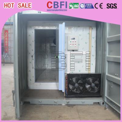 China Quick Freezing Customized Container Cold Room 20 Ft Or 40 Ft Optional  for sale