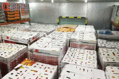 Chine Grand congélateur de chambre froide de stockage d'aliments surgelés de fromage de projet de chambre froide de basse température à vendre