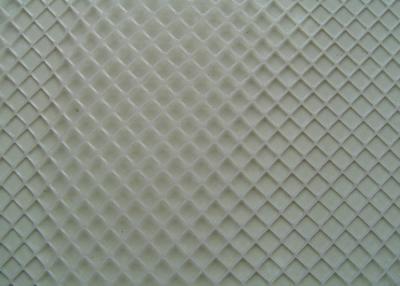 China Grass Protection Plastic Wire Mesh Hexagon Aperture Wear Resisting 3mm Thickness for sale