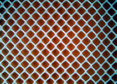 China PE Plastic Wire Mesh Roll 1-4.5mm Diameter Wear Resisting for sale
