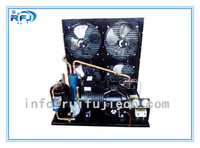 China Unidades de condensación de la refrigeración de la refrigeración por agua, unidad de condensación horizontal R22 negro 4-30HP de la cámara fría en venta