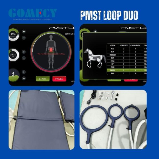 PMST Loop duo dual channels pulse magnetic therapy PEMF field therapy