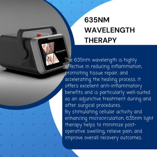 Professional 980nm 1470nm 635nm Diode Laser for EVLT Lipolysis Pain Relief Vascular Removal and Medical Surgical Therapy