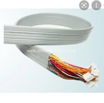 Cina Elevatori domestici Gearless di viaggio dell'elevatore di trasporto dell'appartamento del cavo CAT6 4.0m/s 450KG in vendita