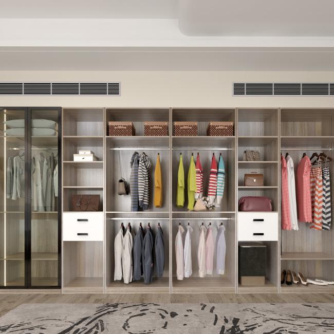 Interior view of walk-in closet showing adjustable shelving and storage space