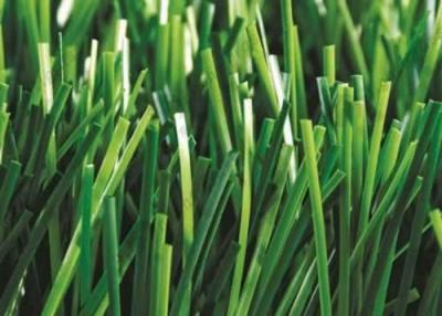 China Artificial Grass for Pets, MT-Graceful for sale