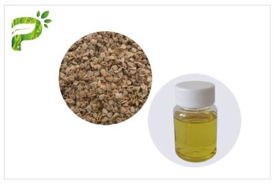 China Anti Aging Tomato Seed Oil Cold Pressed Natural Plant Extract Fatty Acids Ingredient for sale