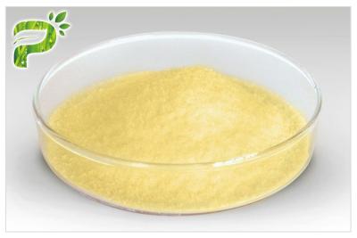 China Panax Ginseng Extract Powder Natural Dietary Supplements Ginsenosides Active Ingredient for sale