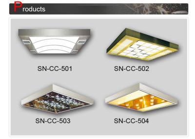 Chine Panneau supérieur acrylique de plafond de voiture de cadre d'acier inoxydable pour la décoration de cabine à vendre