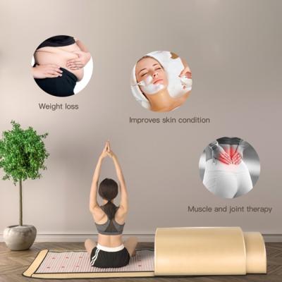 China 1200W Body Physiotherapy Far Infrared Dome Sauna Detox Sweat Recumbent for sale