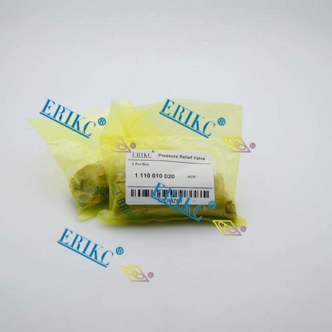 1110010020 For BOS Common Rail Pressure relief valve (3).jpg