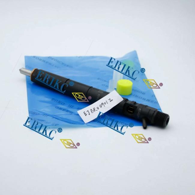 erikc liseron diesel injector feul injector EJBR00901Z.jpg