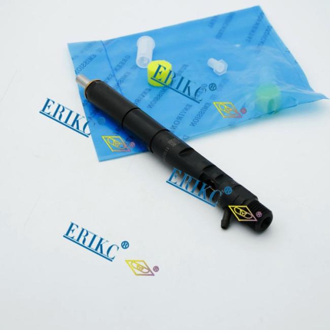 ERIKC common rain injector EJBR0 1901Z.jpg