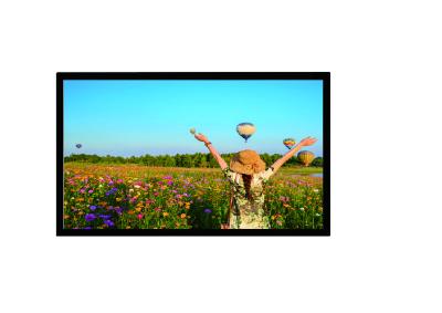 China HD 1080x1920 LCD Advertising Display Indoor Digital Signage Display for sale