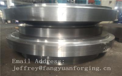 Chine Les pièces forgéees en métal d'acier allié de F5a/corps ont forgé les valves en acier/pièces forgéees de Rod à vendre