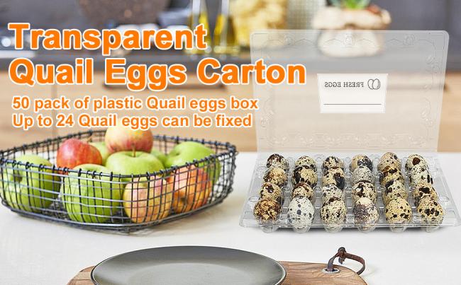 Quail Eggs Carton