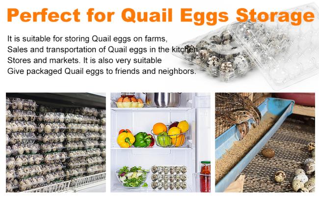 Quail eggs storage