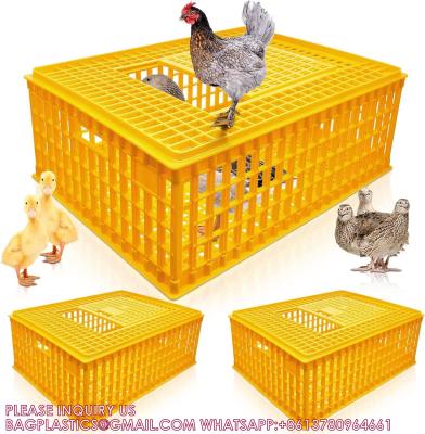 China Poultry Carrier Crate Chicken Transport Cage Bird Chicken Carrier Travel Crate Basket Box for sale