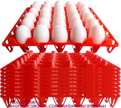 China Plastic Egg Tray Egg Crates 30-Egg Flats, Stackable Egg Cartons Hold Multiple Eggs for sale