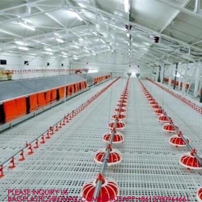 China 100% Pure PP Broiler 40mm Slatted Floor System In Poultry Duck Broiler 100% PP UV Poultry Slat Flooring for sale