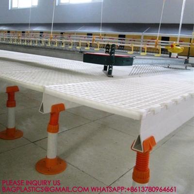 中国 40mm Slatted Floor System In Poultry, PP Slatted Floor System, Plastic Floor For Goat Farm 販売のため