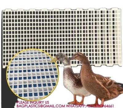 中国 Plastic Poultry Floors 500*1200mm Chicken duck Floor poultry animal husbandry equipment 販売のため