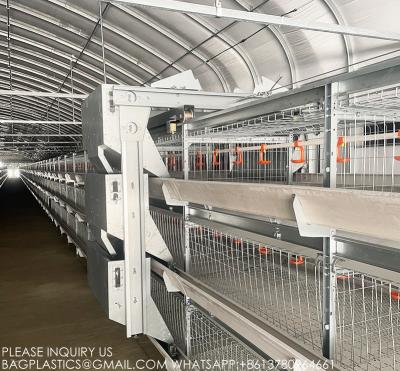 中国 Poultry Farming Equipment Manufacturer 4 Tiers H Type Parent Chicken Battery Breeder Cage 販売のため