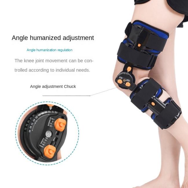 Supportive Articulated Limb Brace for Lower Body