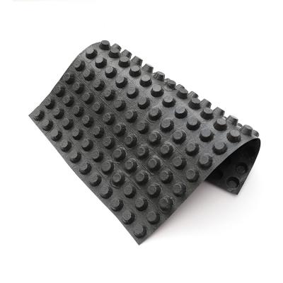 China Green Roof Modular System Hdpe Dimple Membrane Drainage Mesh Mat Board for sale