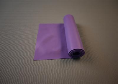 China Shoulder Presses Gym Pilates Mat Purple Pilates Accessories Yoga Exercise for sale