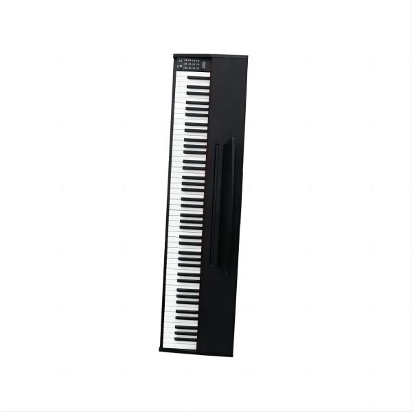 Quality ISO Heavy Duty Digital Acoustic Piano With 88key Hammer Action Keyboard for sale