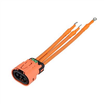 China Customized New Energy Assemblies Wire Harness Electric Vehicle Charging Cable for sale