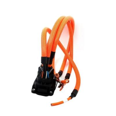 China Customized New Energy Vehicle Wire Harness Quick Connection Terminal Connection Line for sale