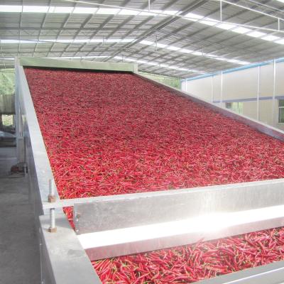 China HengShou PLC 1840mm Belt Drying System For Pepper Preset Thermostatical Control for sale