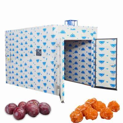 China 1000KG 26Kw PLC Ume Prunes Heat Pump Food Dryer Berry Fruit Tray Dryer for sale